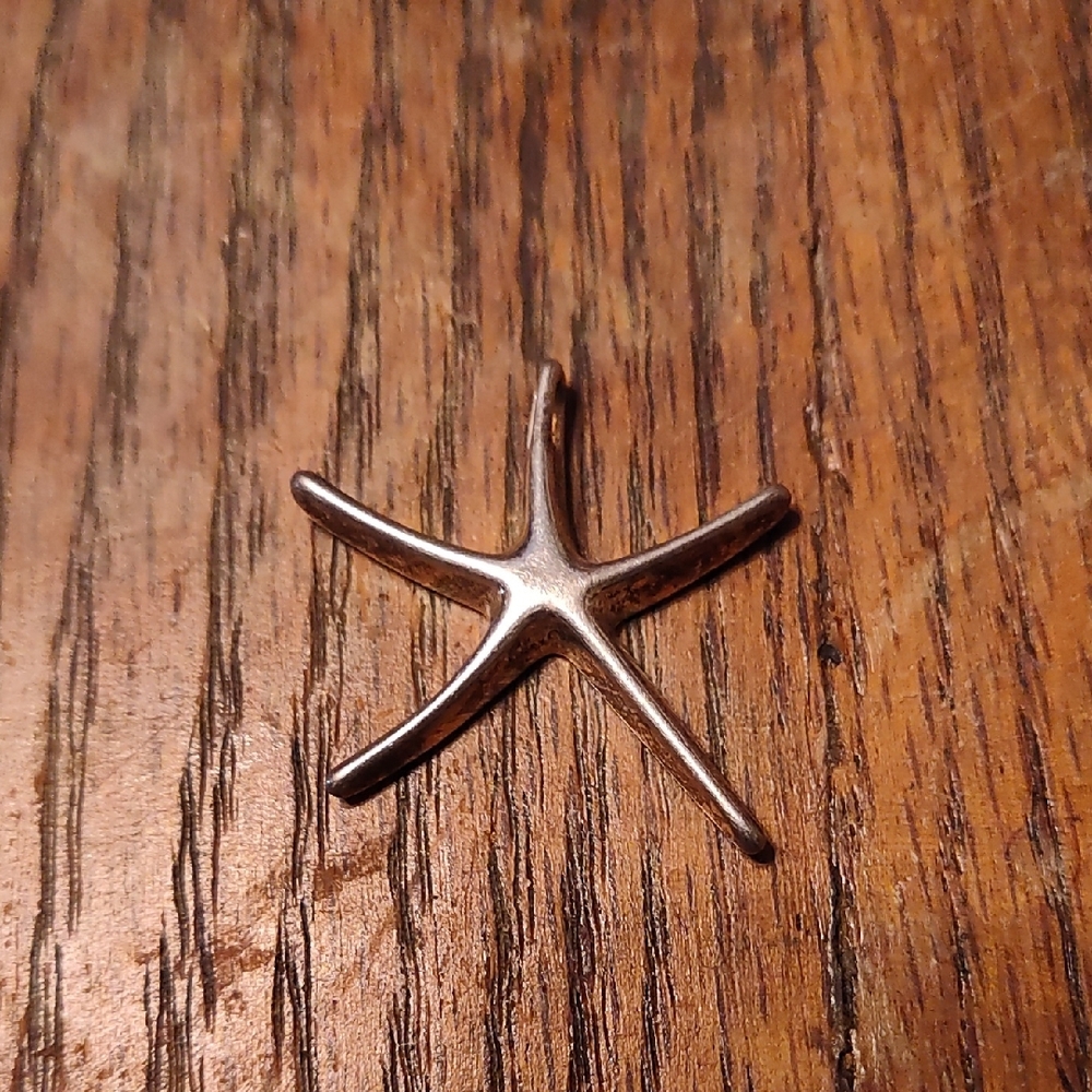 Elegant Starfish Pendant Necklace - Silver